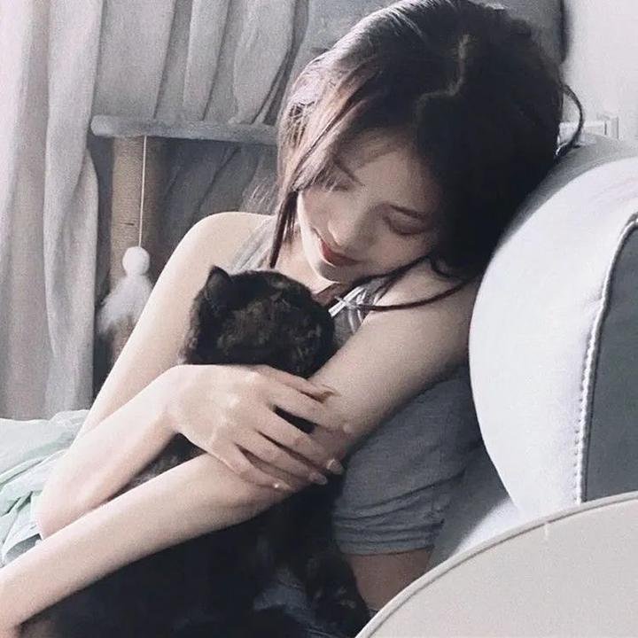 野原广志午餐流派