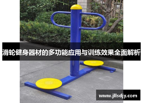 滑轮健身器材的多功能应用与训练效果全面解析