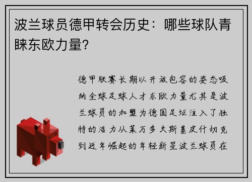 波兰球员德甲转会历史：哪些球队青睐东欧力量？