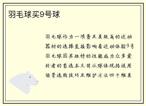 羽毛球买9号球